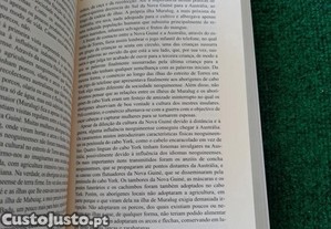 imagem_8