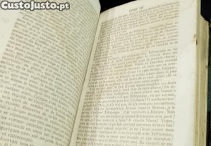 imagem_7