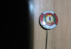 Pin do Benfica (campeoão de 1966)