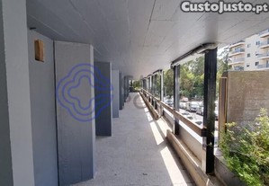 imagem_22