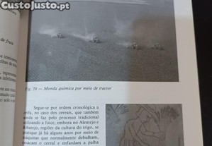 imagem_4