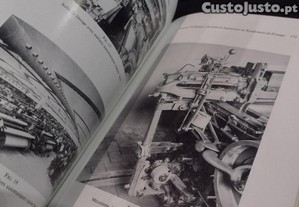 imagem_6