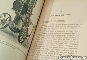 imagem_10