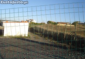 imagem_9