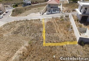 imagem_7