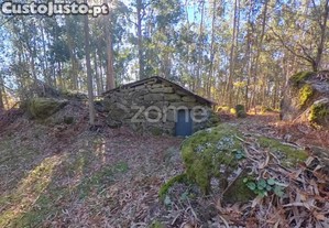 Terreno Com Corte De Chão De Castro*