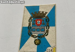 imagem_1