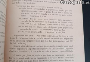 imagem_7