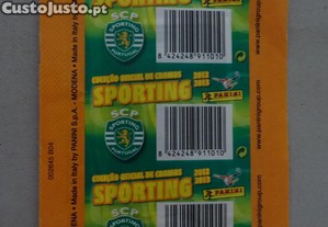 imagem_2