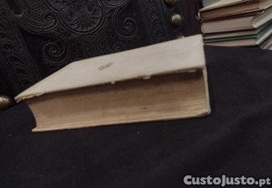 imagem_8