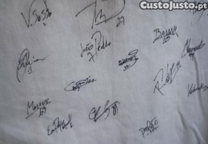 imagem_8
