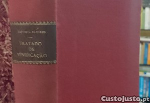 imagem_11