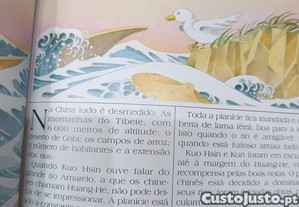 imagem_6