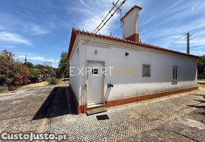 imagem_7