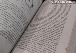 imagem_7