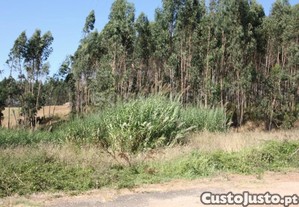 imagem_14
