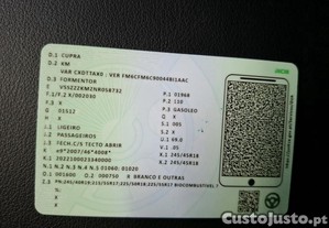 imagem_22