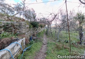 Quinta Com Duas Casas Independentes Cinfães Do...