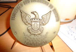Medalha Bombeiros Santarém Congresso Tomar