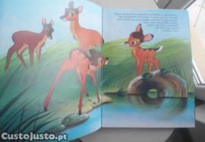 imagem_7