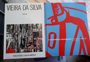 Obras de Vieira da Silva e Cruzeiro Seixas