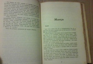 imagem_8