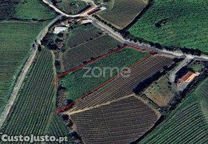 Terreno Rústico Em Aldeia Gavinha, Alenquer