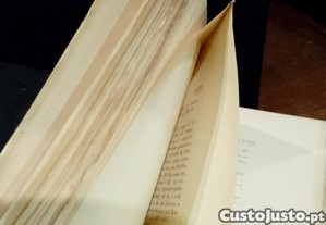 imagem_8