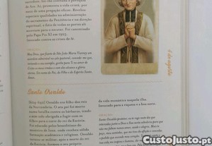 imagem_6