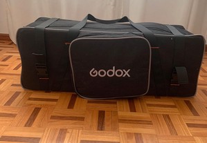Kit flashes GODOX MS 300