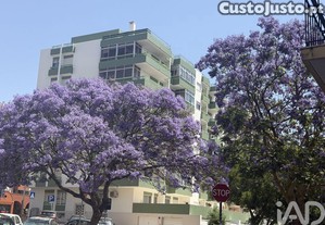 imagem_16