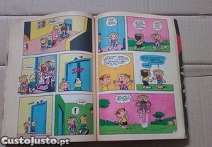 imagem_5