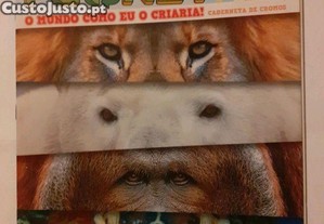 imagem_1