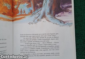 imagem_7