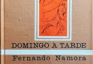 Livro - Domingo à Tarde - Fernando Namora
