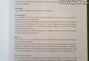 imagem_7