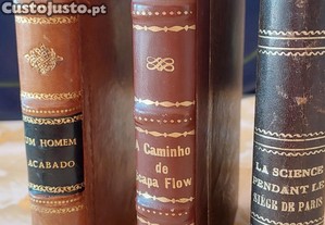 imagem_1