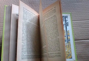 imagem_6