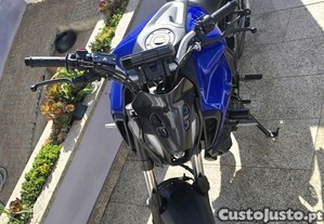 imagem_3