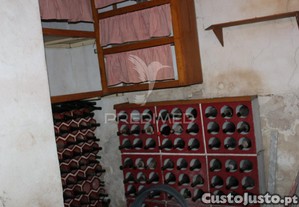 imagem_21