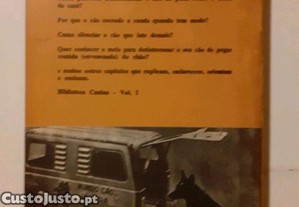 imagem_8