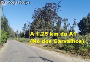 Terreno 1,3Ha, Para Loteamento Ou Construção De...