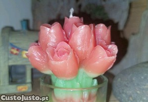 imagem_1