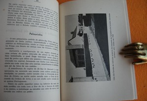 imagem_7