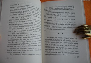 imagem_7