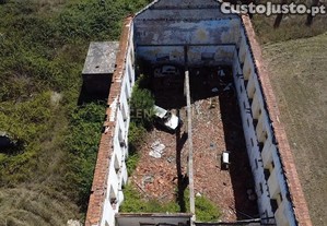 imagem_7
