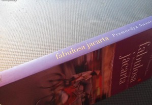 imagem_2
