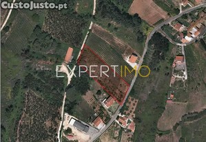 imagem_10