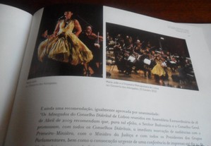 imagem_8