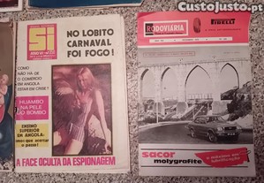 imagem_4
